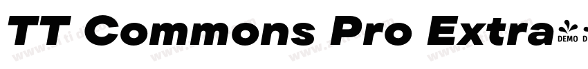 TT Commons Pro Extra字体转换